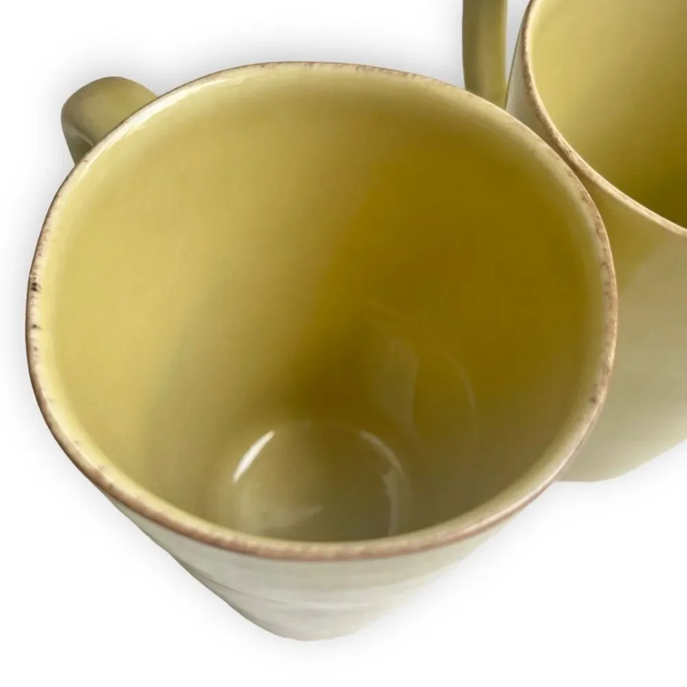 Crate&Barrel Marin Green Coffee Cup Mug Set of 3